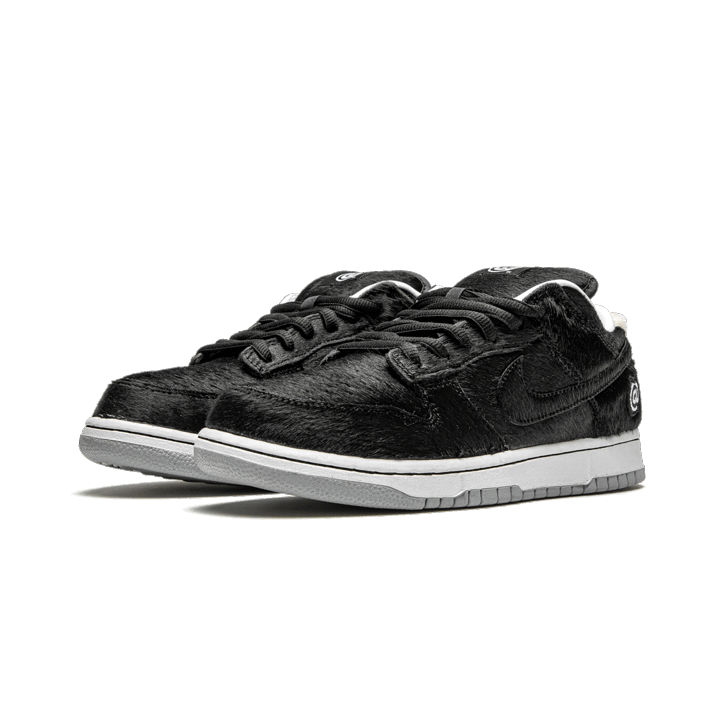 SB Dunk Low Medicom